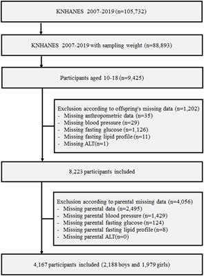 Parental metabolic syndrome and elevated liver transaminases are risk factors for offspring, even in children and adolescents with a normal body mass index